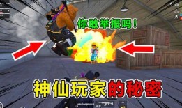 吃鸡爆料侠客视频大全最新,揭秘热门游戏幕后故事与精彩瞬间